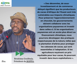 Les conséquences du changement climatique sur le cacao en Afrique de l'Ouest