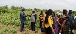 Visite de terrain du ROPPA : Un échange enrichissant avec les producteurs de Kodo Assun